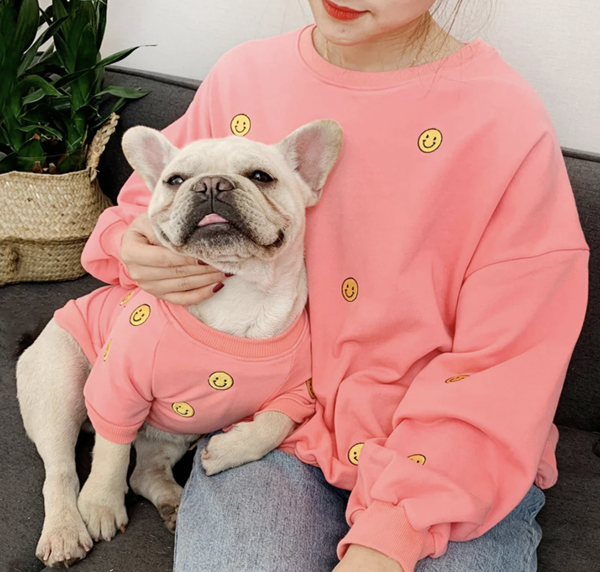 dog and owner outfit