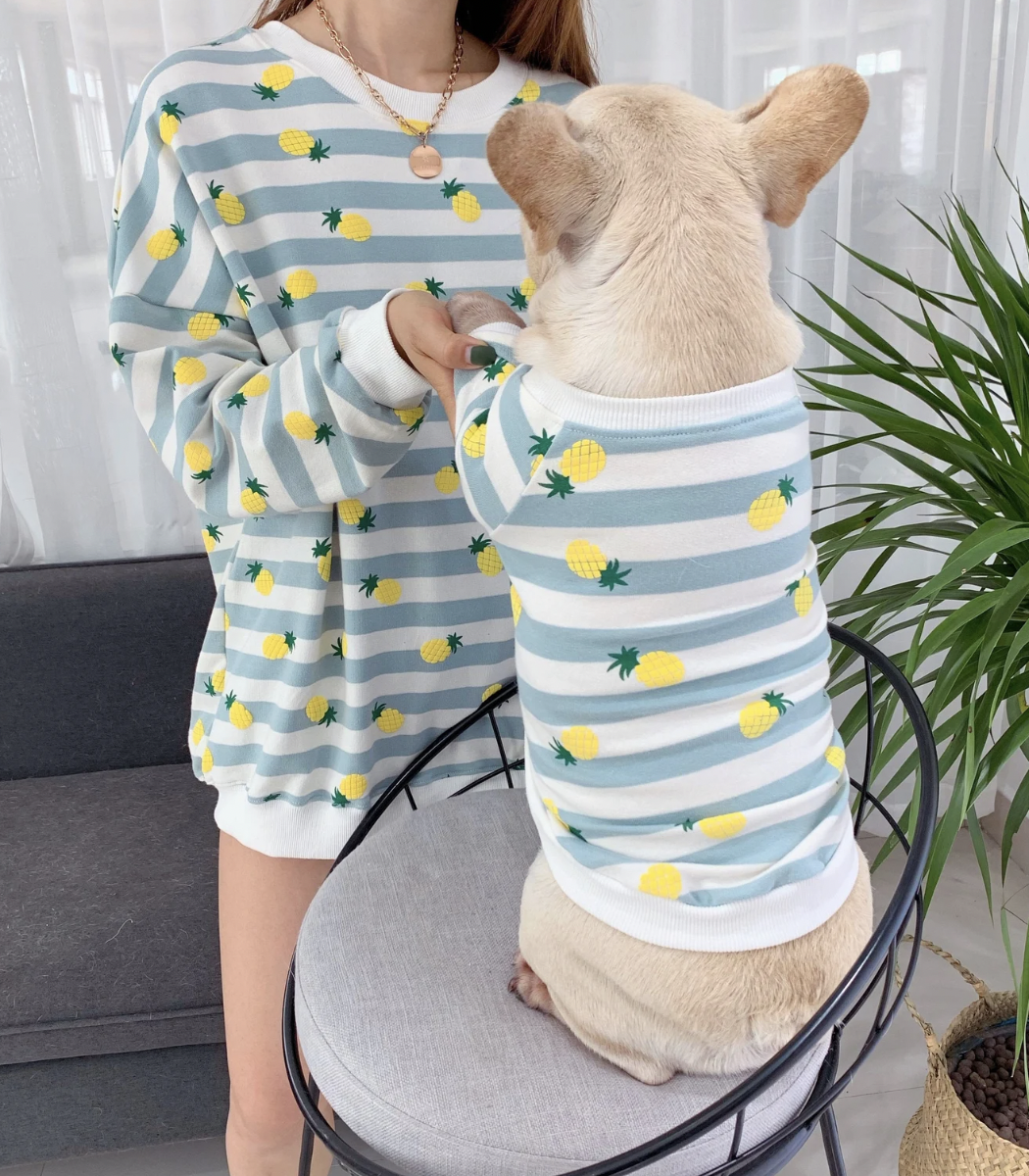 matching pet and owner