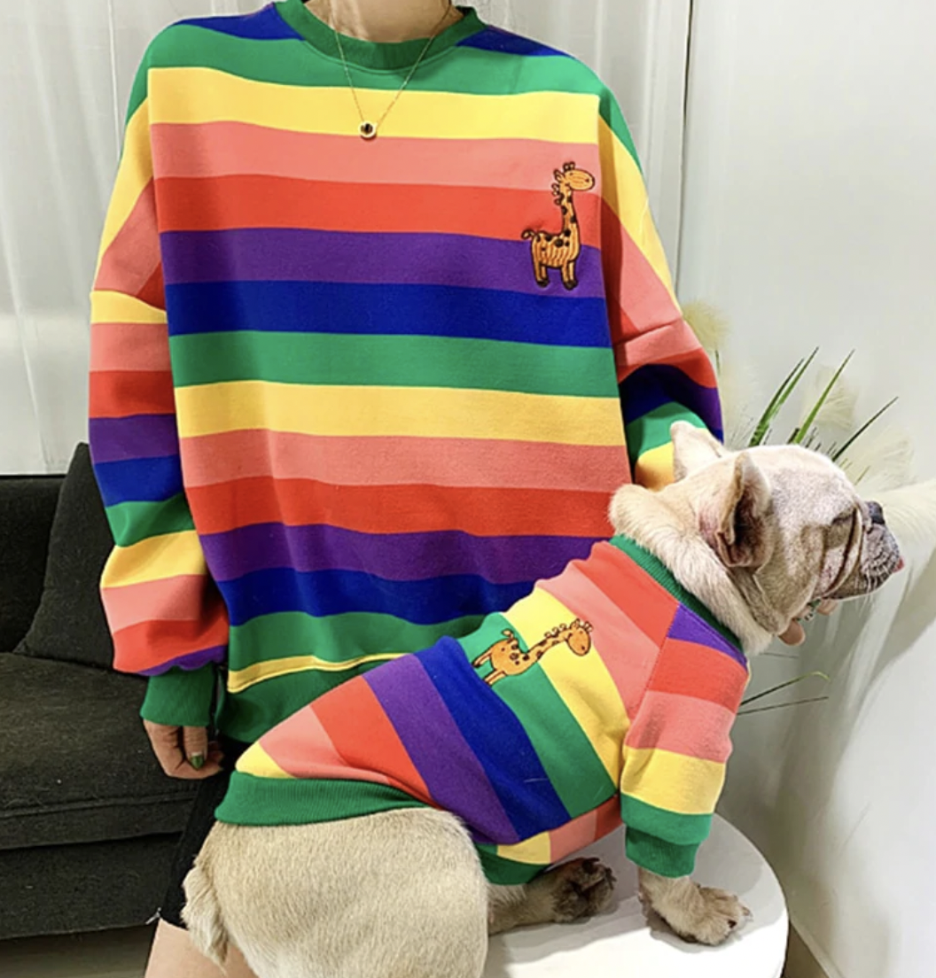 dog and owner outfit