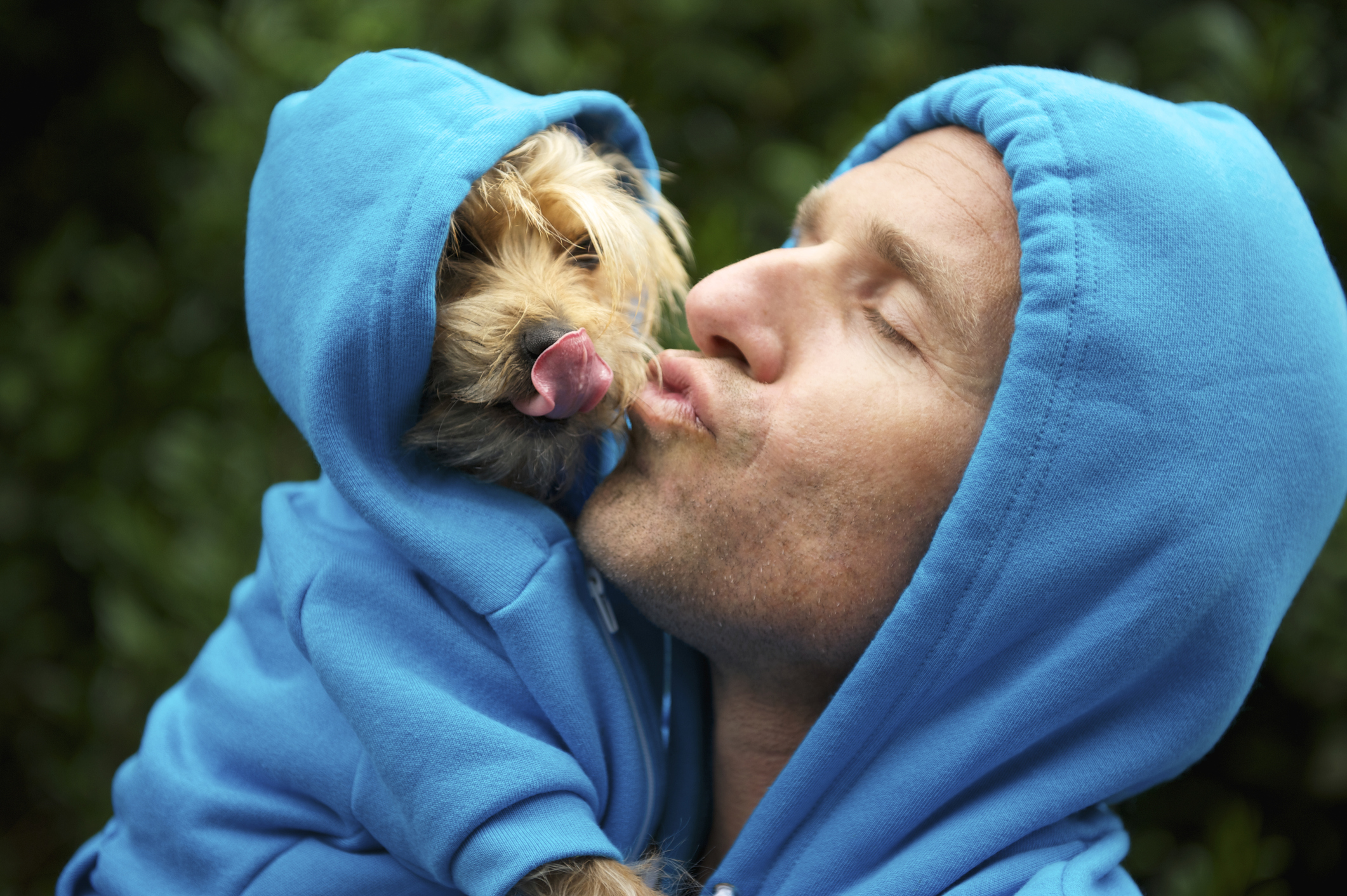 matching dog and owner outfits